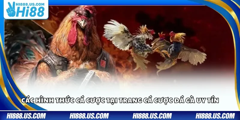 Các hình thức cá cược tại trang cá cược đá gà uy tín